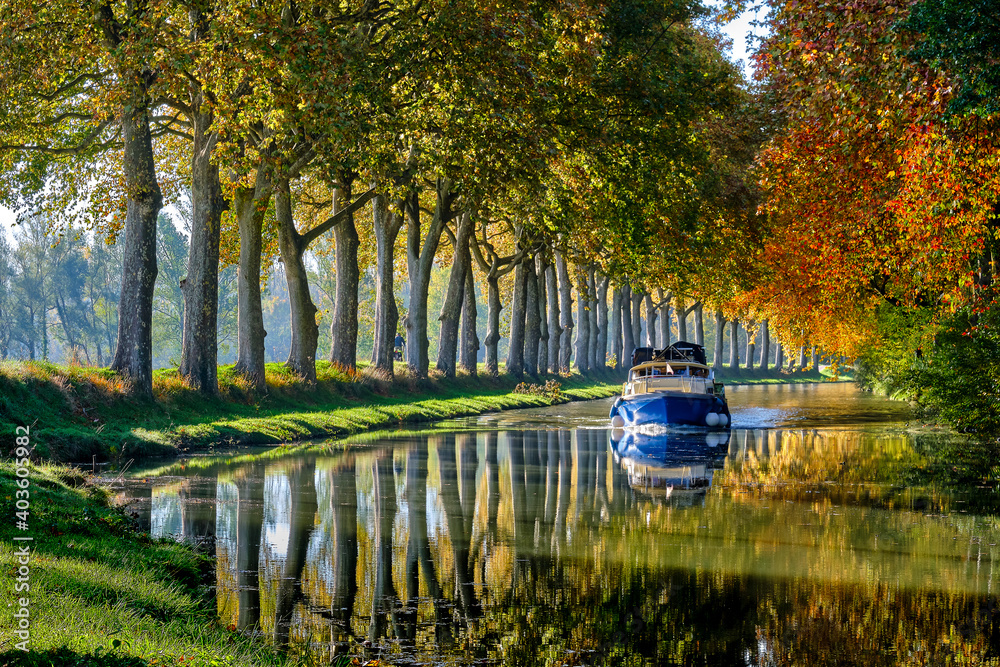 the canal du midi near the city of Toulouse in the fall - obrazy, fototapety, plakaty 