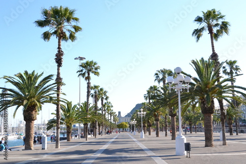Barcelona city Park with Palms and Walking way Spain