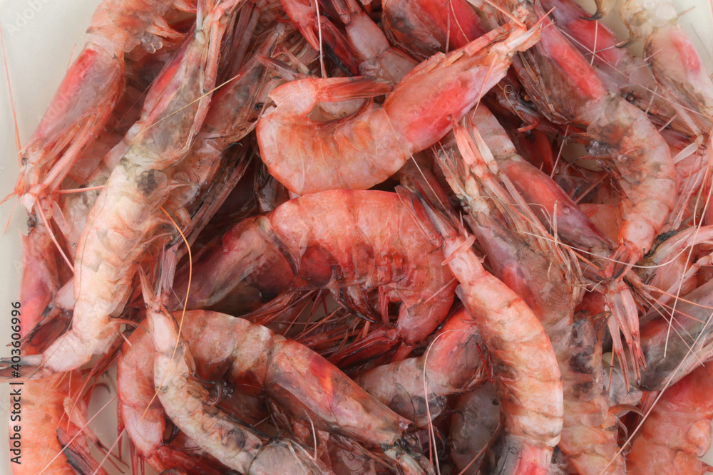 red raw fresh prawns as sea food delicacy red raw fresh prawns as sea food delicacy