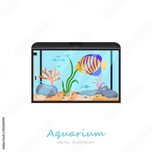 Vector aquarium image