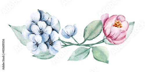 Fototapeta Naklejka Na Ścianę i Meble -  Blue and pink flowers watercolor, floral clip art. Bouquet peonies perfectly for printing design on invitations, cards, wall art and other. Arrangement isolated on white background. Hand painting.