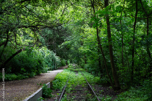 railway in the woods
