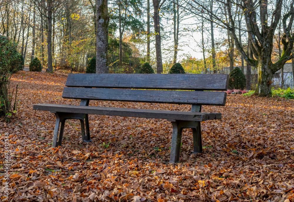 bench in a cemetery at autumn time bench in a cemetery at autumn time
