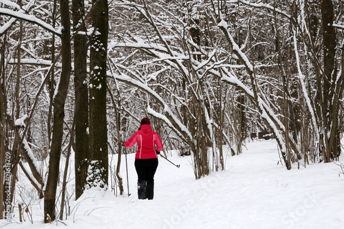 Woman skier walking in the snow in the winter park, rear view. Leisure outdoors, nature after snowfall