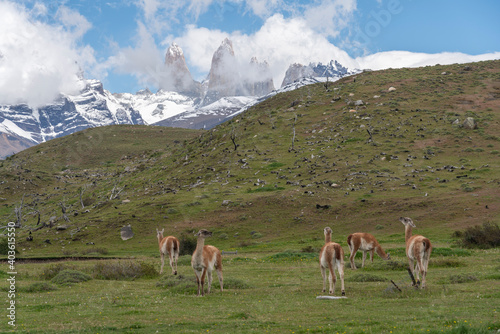 Torres del Paine, Patagonia, Chile © Johannes Jensås