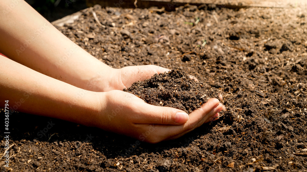 Female farmer hands picking and holding fertile ground from field. Concept of growth, environment protection and organic planting on farms. Female farmer hands picking and holding fertile ground from field. Concept of growth, environment protection and organic planting on farms.