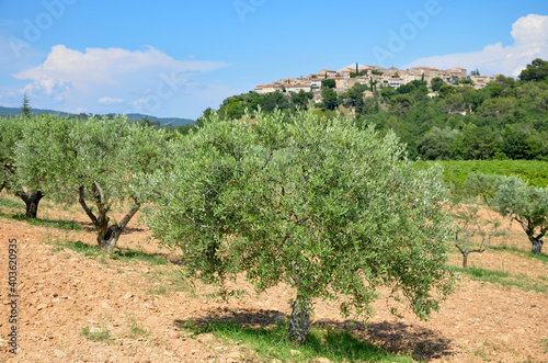 Grambois medieval village on the hill in Provence, olive trees plantation in front, blue sky background