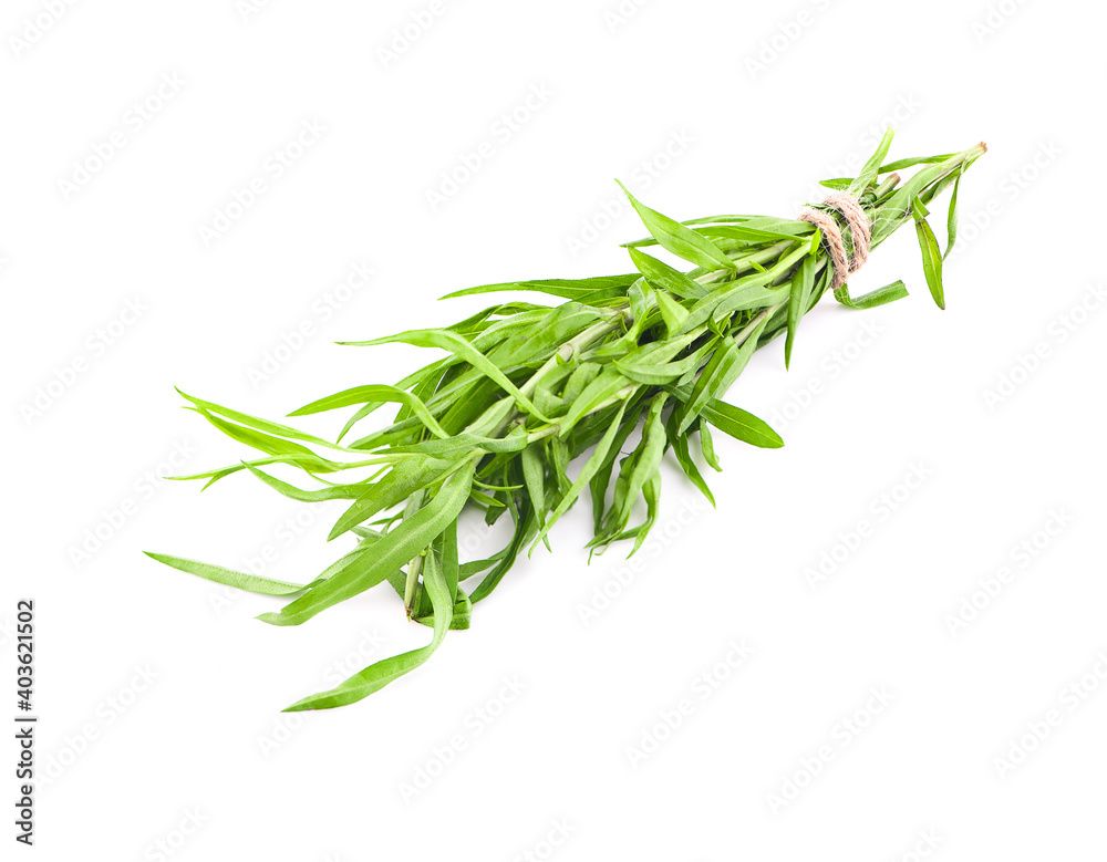 Fototapeta premium taragon leaves an isolated on white background