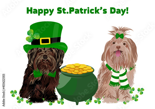 Cute dogs in leprechaun costume with pot of gold. Happy St. Patrick's Day. Pets, St. Patrick's Day holiday, Irish folklore theme banner, greeting card.