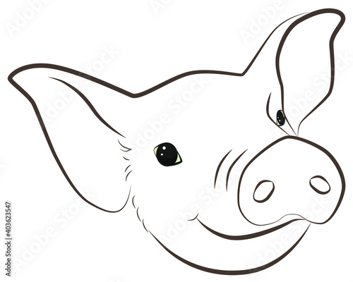 Illustration of a fun  pig muzzle with big ears.