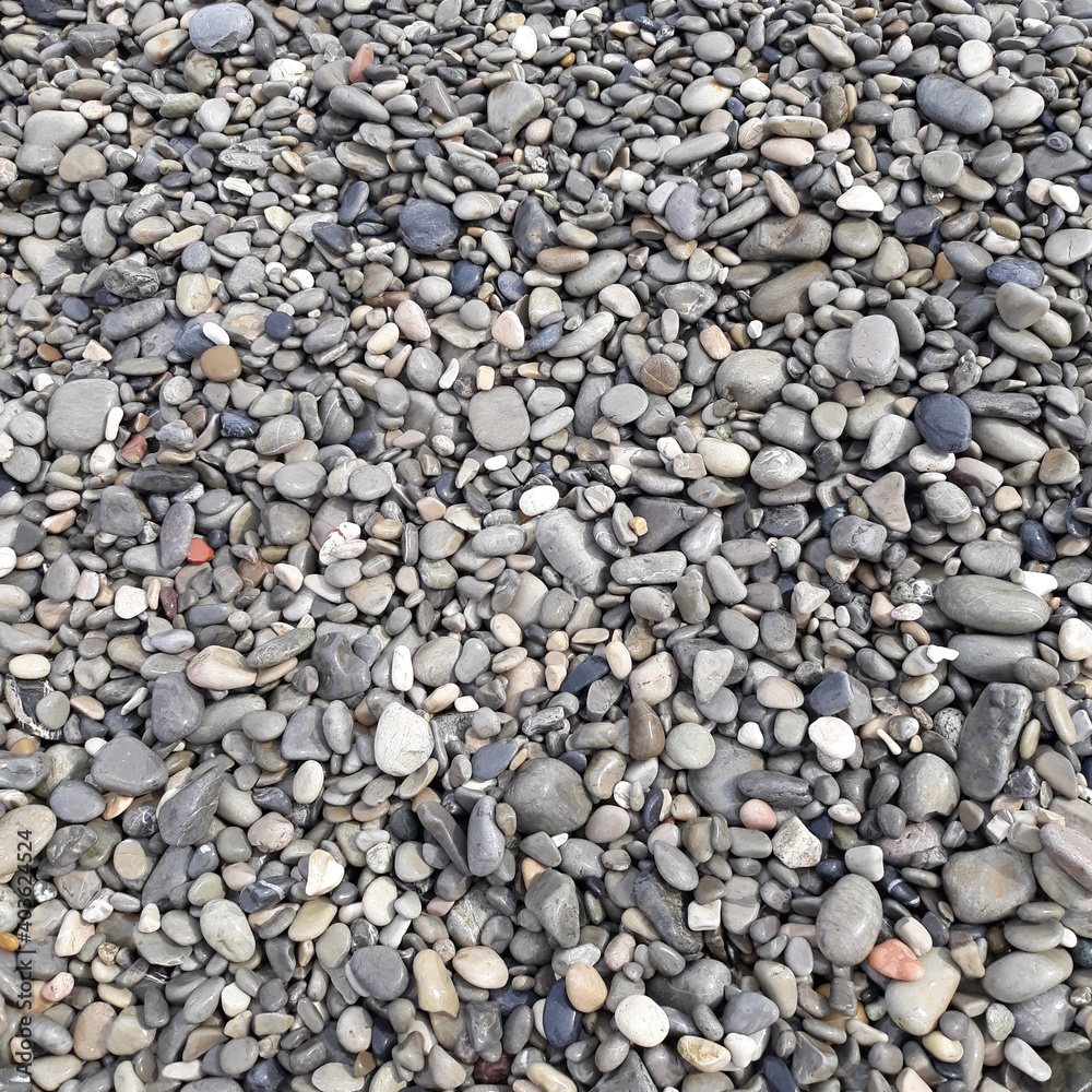 Shiny Wet Multicolored Pebbles on a Beach Shiny Wet Multicolored Pebbles on a Beach