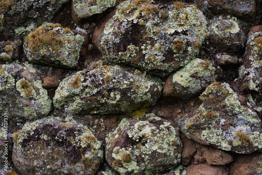 close up of a rock wall