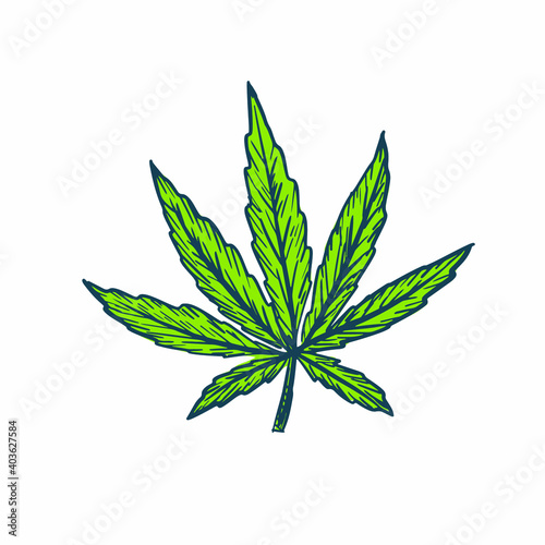Hemp marijuana leaves symbol engraving sketch style