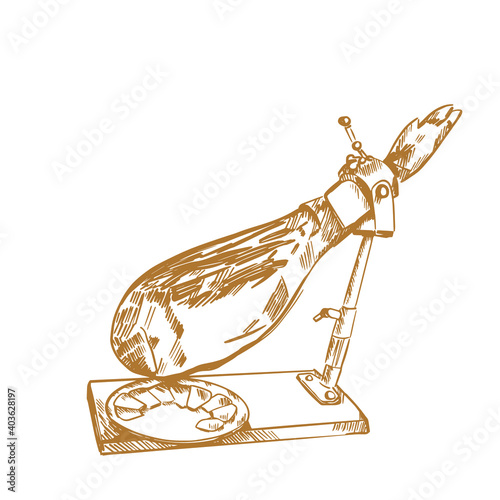 Spanish jamon iberico and serrano, hand drawn sketch illustration. Meat product or farm pork engraving vector