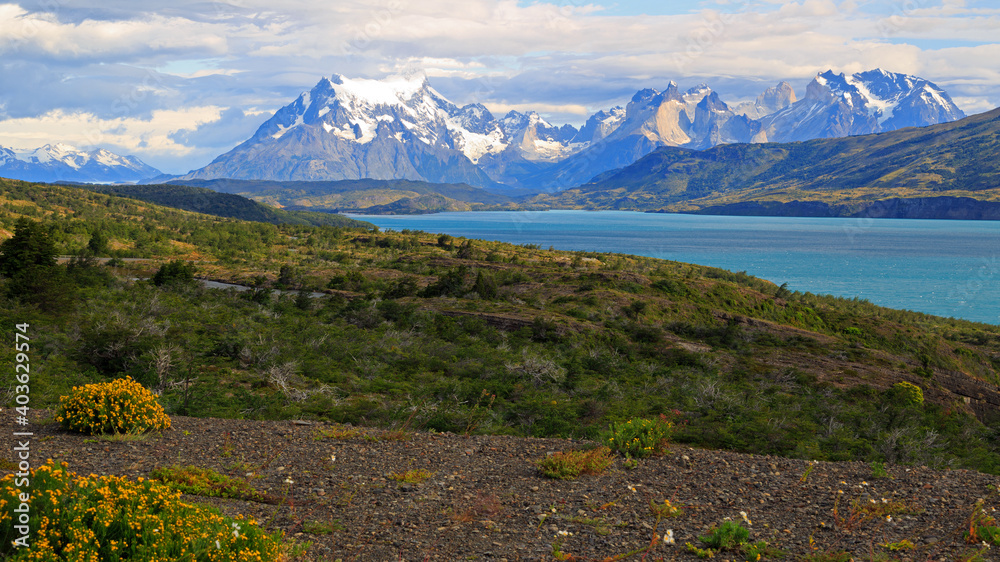 Fototapeta premium Torres del Paine