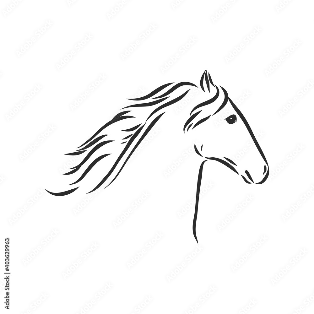 Vector silhouette of a running horse. beautiful horse vector sketch illustration Vector silhouette of a running horse. beautiful horse vector sketch illustration