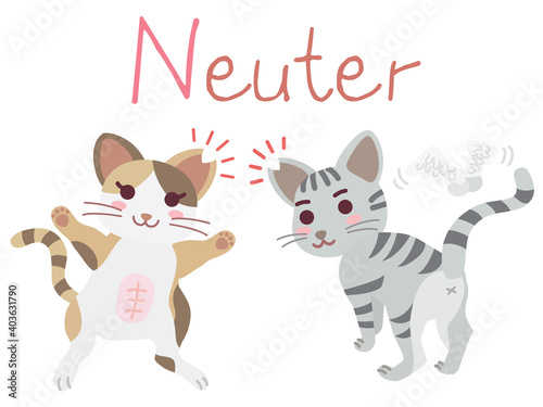 地域猫TNRの説明イラスト Neuter