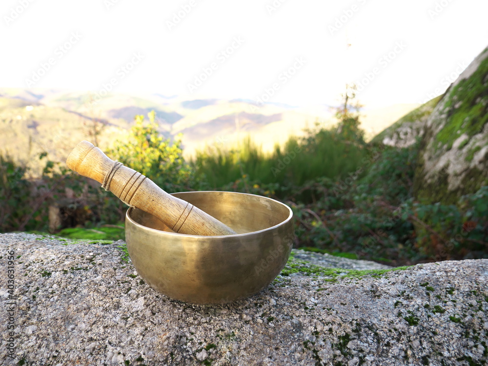 Singing bowl set on a rock with mountains in background