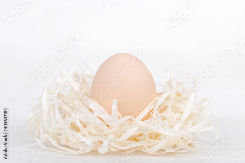Raw organic brown egg in nest made of staw shreded paper.