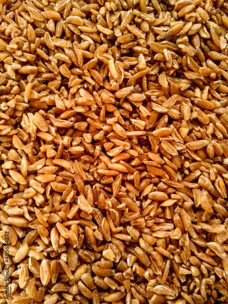 seeds texture seeds texture