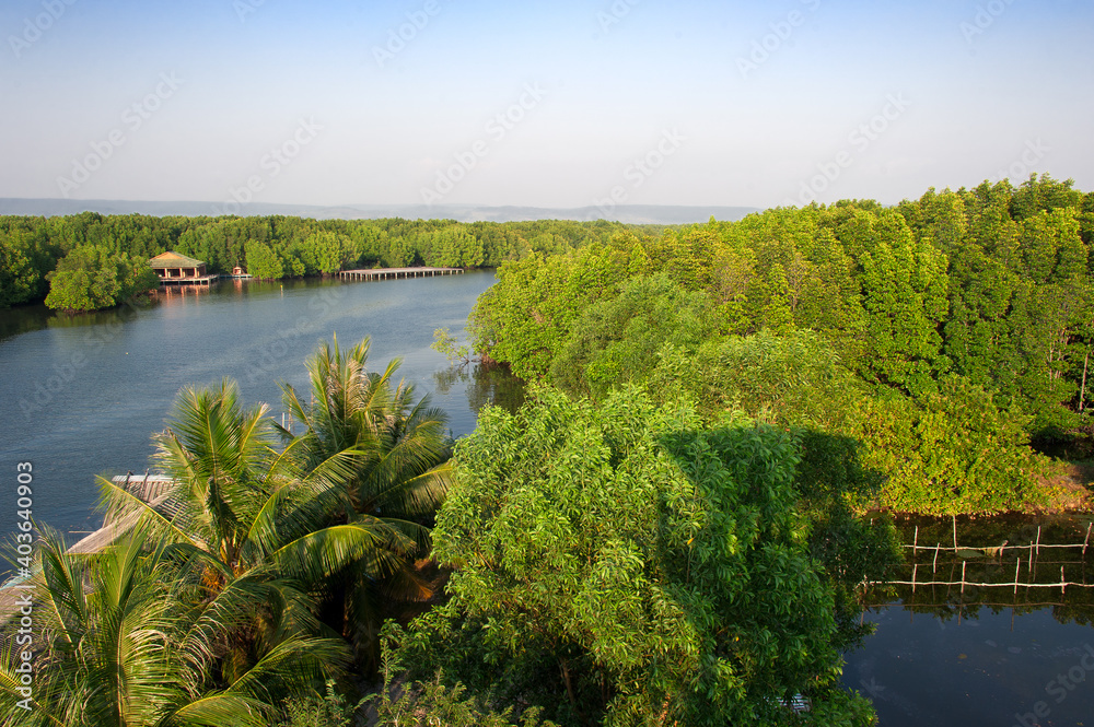Panoramic view area of a mangrove forest in Krong Koh Kong, Cambodia