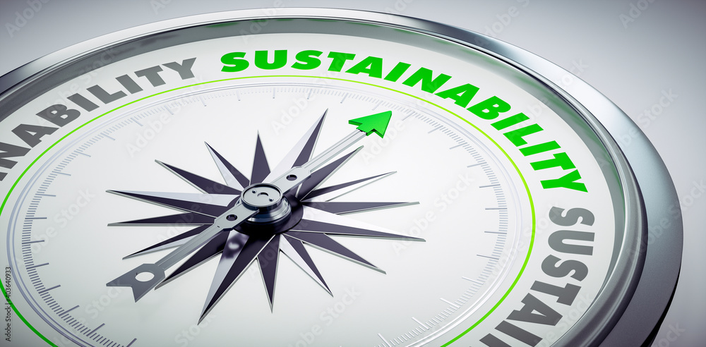 White compass with needle pointing to the word sustainability - 3D Illustration White compass with needle pointing to the word sustainability - 3D Illustration