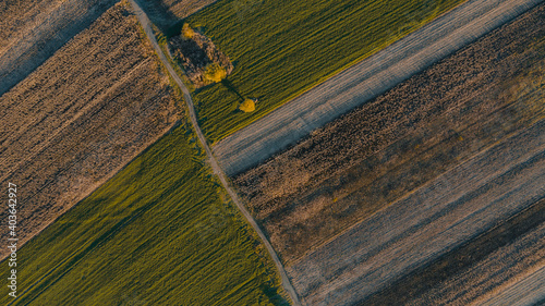 Aerial view over cereal fields in autumn days