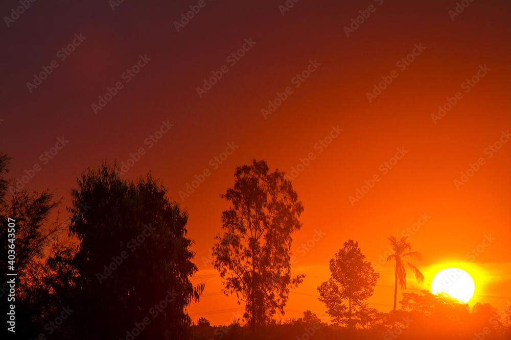 Obraz premium sunset over the forest