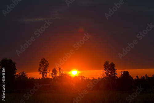 sunset over the forest