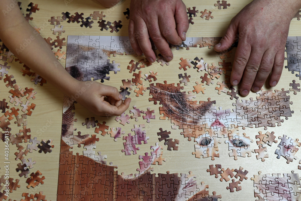 An adult and a child collect a complex picture of 500 puzzles on the table. The frame and the kitten's face are ready. An adult and a child collect a complex picture of 500 puzzles on the table. The frame and the kitten's face are ready.