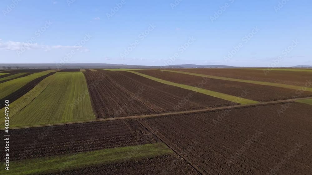 Vast Plowed Field With Crops Under Bright Blue Sky In Countryside Of Vrancea, Romania. - aerial Vast Plowed Field With Crops Under Bright Blue Sky In Countryside Of Vrancea, Romania. - aerial