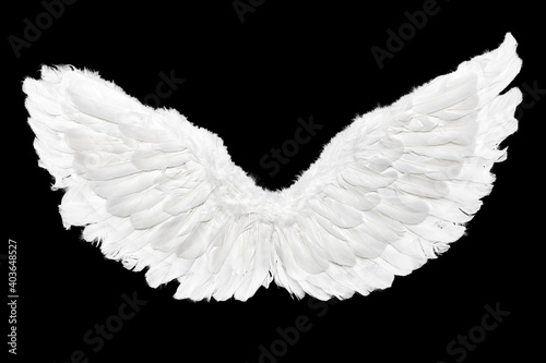 White Angel Wings Isolated on Black