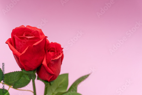 2 red roses on the left side, pink background
