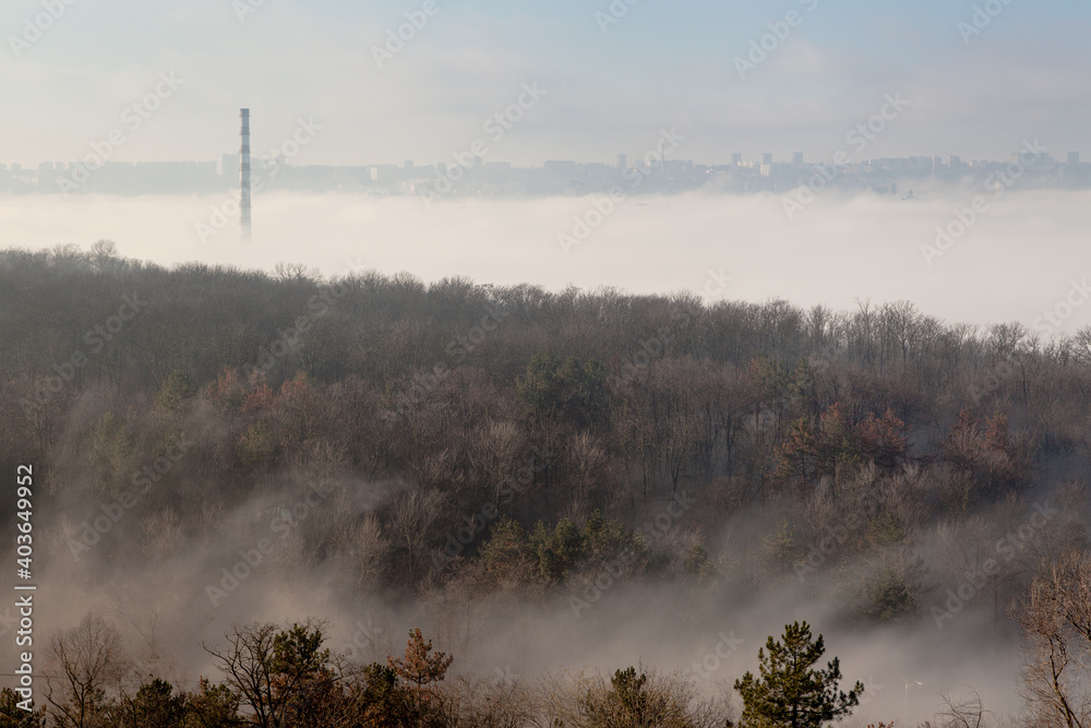 Fog with top view of trees and plant exhaust pipe