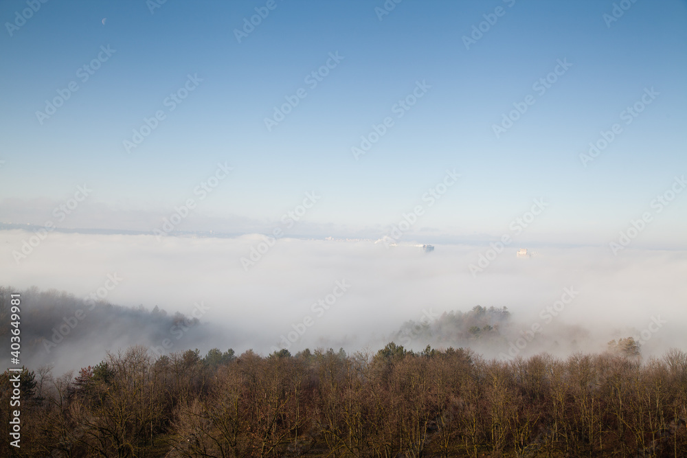 Trees with roofs of several high rise buildings in the fog with blue sky Trees with roofs of several high rise buildings in the fog with blue sky