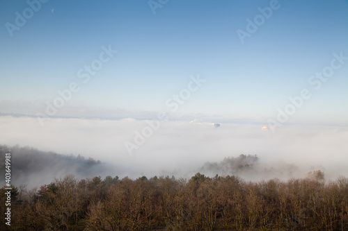 Trees with roofs of several high rise buildings in the fog with blue sky