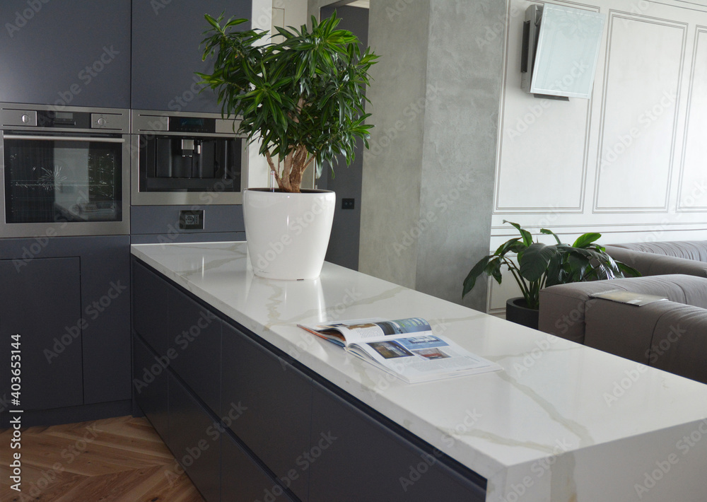 Modern kitchen design with a kitchen island with a white surface and a potted plant as a kitchen and living room divider, separator with built-in cooking appliances, and a sofa in the background. Modern kitchen design with a kitchen island with a white surface and a potted plant as a kitchen and living room divider, separator with built-in cooking appliances, and a sofa in the background.