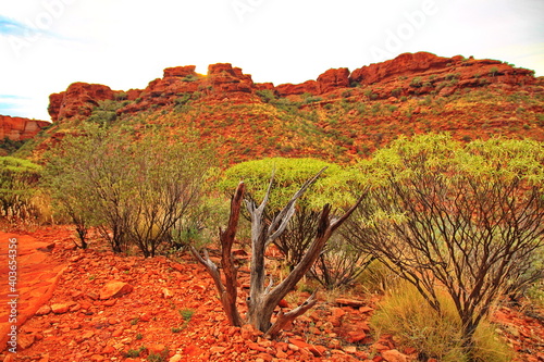 Kings Canyon in the red centre of Australia