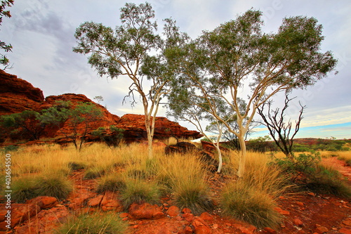 Kings Canyon in the red centre of Australia