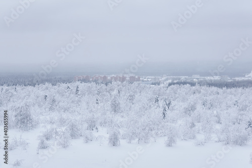 frosty winter landscape - a distant town in a valley in the middle of snowy forests in a frosty haze