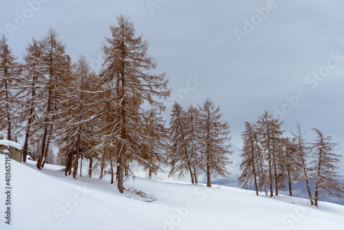 alm valley in winter with a lot of snow