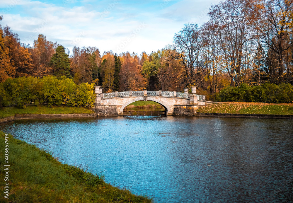 Fototapeta premium autumn in the park