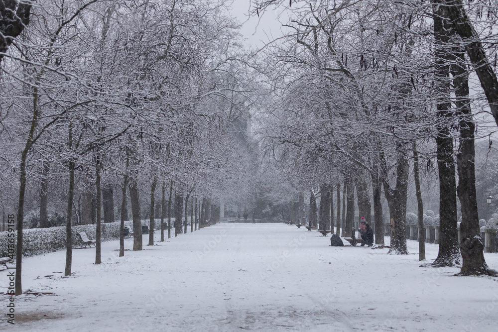 General view of one of the paths of the Buen Retiro park in Madrid, in the middle of a snowy day, due to a wave of polar cold. General view of one of the paths of the Buen Retiro park in Madrid, in the middle of a snowy day, due to a wave of polar cold.