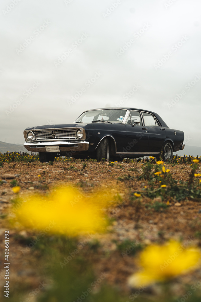 Fototapeta premium blue vintage car with yellow flowers on the beach