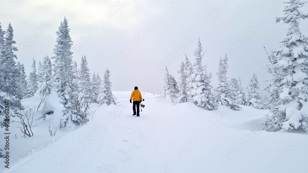 back view of sportsman holding snowboard while walking on white snow.