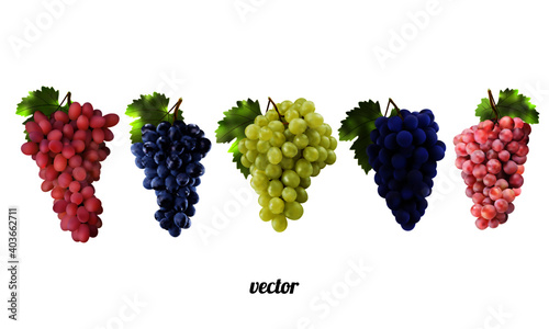 Grapes bunch isolated, wine grapes 3d realistic vector objects. Food icon set