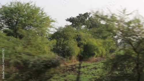 The view from the train window. Driving plate green mixed forest, green field and hills on summer sunny day side view of Nature.
