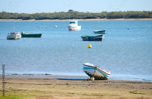 Photograph of some boats floating in El Rompido, Huelva, Spain.