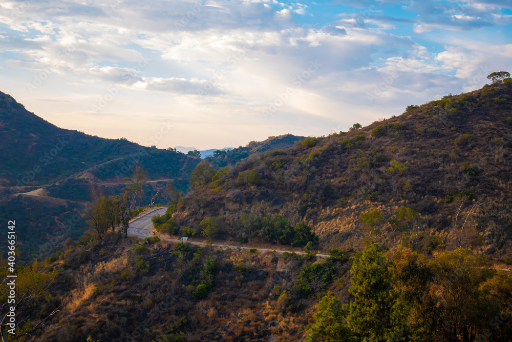 View of road in the hills of Hollywood