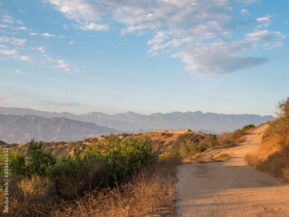 View of a dirt track for hiking in the hills of Hollywood